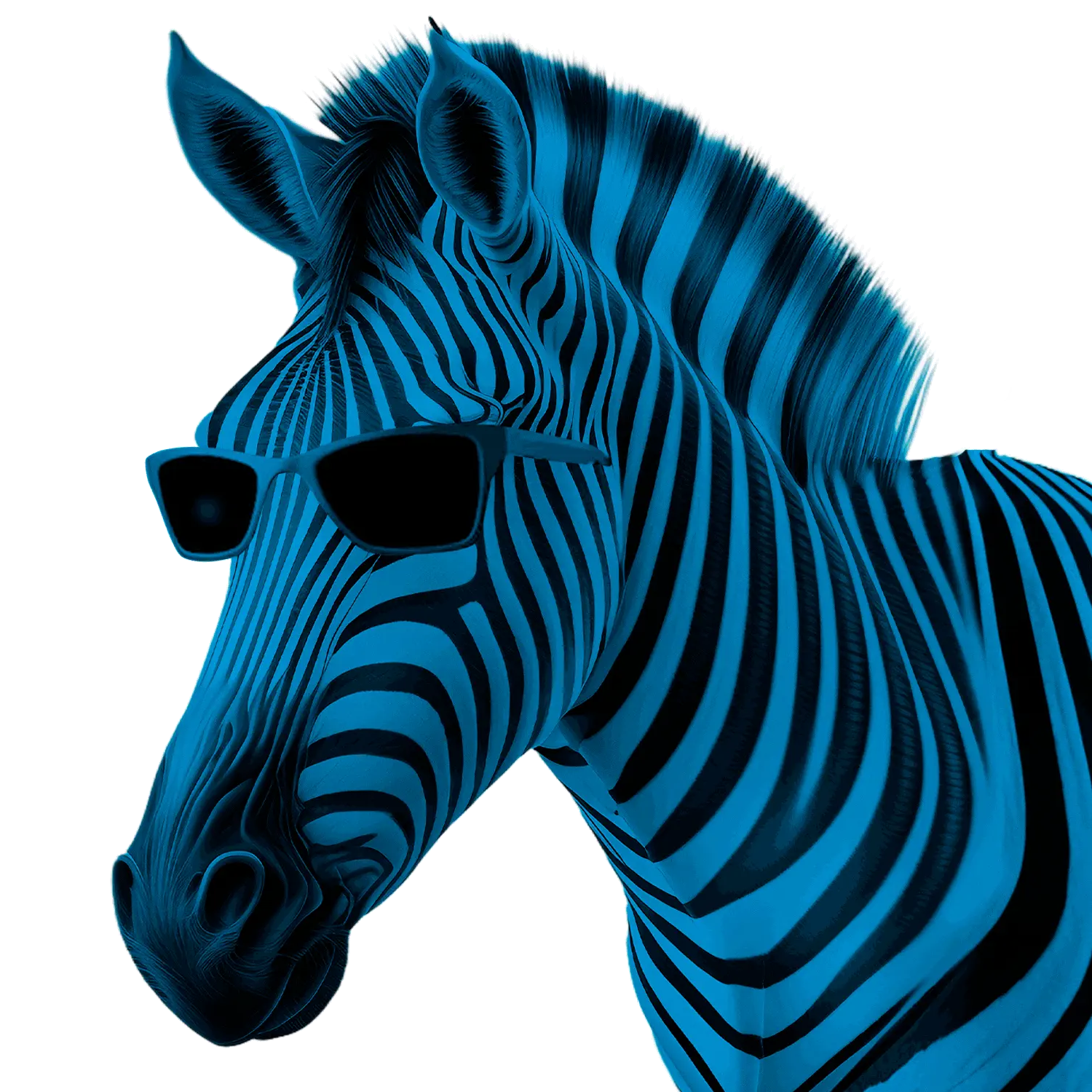 https://next.net.pe/images/home/recursos/cebra.webp